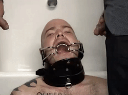 austriaslave36: I will this also