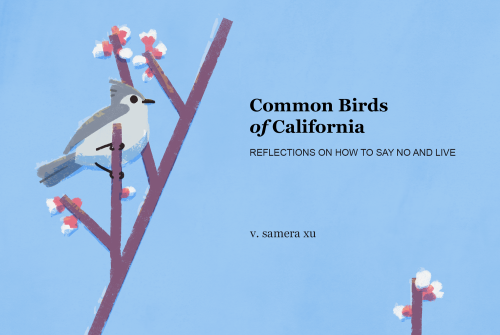 sameraxu:  sameraxu:Common Birds of California is a zine about