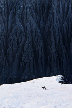 mstrkrftz:  Deep In Canyon | BJ Yang 