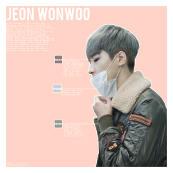 95scoups:  Jeon Wonwoo ; An infographic for anon / Â© ProoferPlease