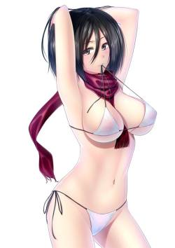 midnightecchi:  this is the last of my Mikasa pics for a while.