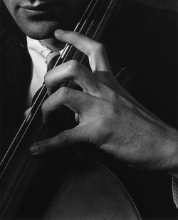 inritus:  Hand of Gerald Warburg, 1929. Photographed by Imogen