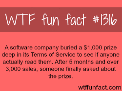 wtf-fun-factss:  Terms of Service - software prize MORE OF WTF