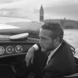 alexsegura:  Paul Newman, Venice, 1963. 