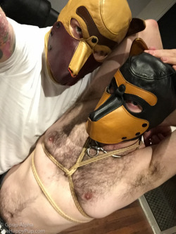 Pup Gryphon and I are taking bondage classes… This is