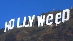 charlesrengel:  Close-up of the “Hollyweed” prank from last