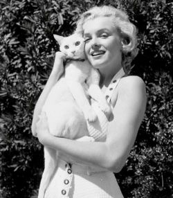 oldhollywoodfilms: Marilyn Monroe and a feline friend in 1951.