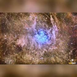 The Pleiades Deep and Dusty #nasa #apod #twan #fecyt #pleiadesstarcluster