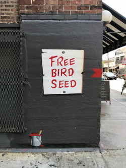 niner:  gregmac666:   sixpenceee:    ‘Free Bird Seed’ Graffiti