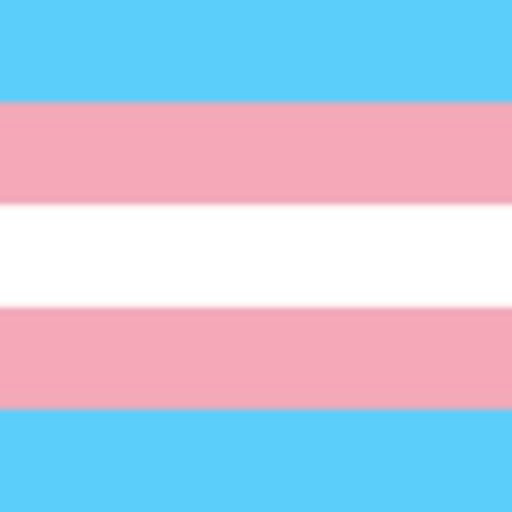 lgbtqia-identities:I hope all trans lesbians have an absolutely