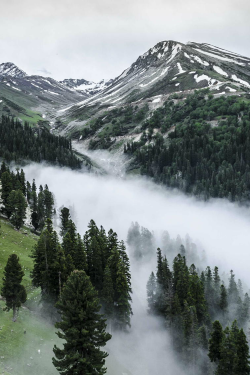 benrogerswpg: Mist Valley via Ben Rogers