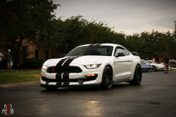 ford-mustang-generation:   	Ford Mustang GT350R. by M85 Media