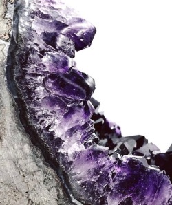 mineraliety:  Crisp Amethyst geode shot via @monkandmoon ///////https://www.instagram.com/monkandmoon/https://www.instagram.com/mineraliety/