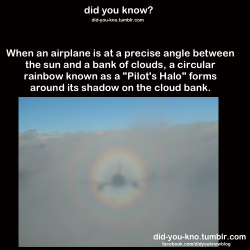 did-you-kno:  Source