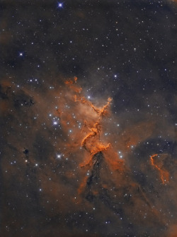 genius412:  Melotte 15 in IC 1805 - The Heart Nebula by John.R.Taylor