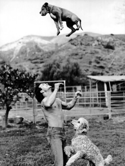 Bruce Weber - Untitled, 1985.