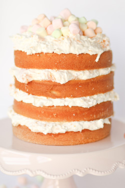 do-not-touch-my-food:  Ambrosia Cake