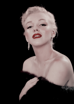 missmonroes:   Marilyn Monroe photographed by Ed Clark, 1950.