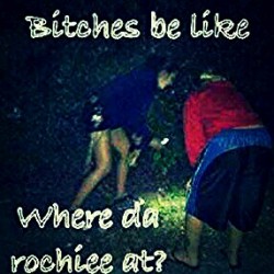 bitches be like “where da roachie at?”