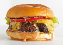 BOOBS'nBURGERS