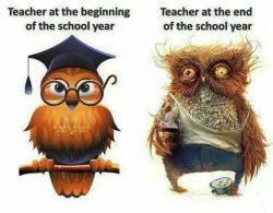 lolfactory:  Teacher, before and after the school year- funny