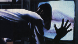 sightmachine:  Film still, Videodrome, David Cronenberg, (1983)