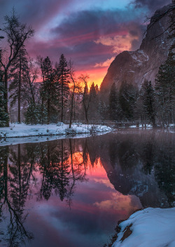 coiour-my-world:Meadows Edge - Yosemite National Park ~ Darvin