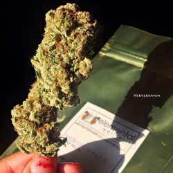 veeeveeeganja:  The White from @elementalwellness 