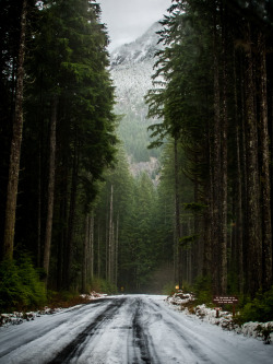 brutalgeneration: NW Path (by Life: In Motion) 