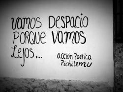 accionpoeticaenchile:  “Vamos despacio porque vamos lejos”Acción