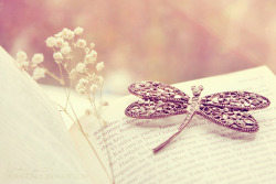 Book on We Heart It - http://weheartit.com/entry/58025769/via/jennyvu