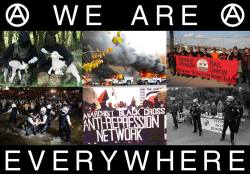 anarchist-memes:  We have different tactics, but we are all anarchist,
