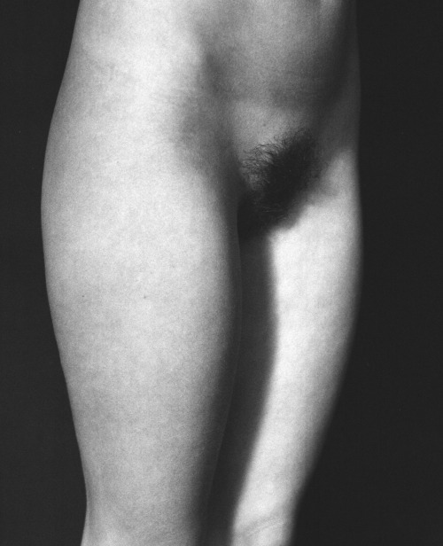 noiredesire:   story, nastasia by roeg cohen   