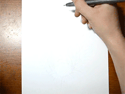 fencehopping:  Drawing a hole. 