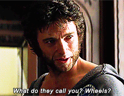 buckybeary:         Marvel movies + Wolverine’s sass      