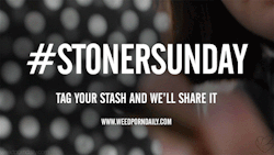 weedporndaily:  HAPPY STONER SUNDAY!Tag your stash #stonersunday