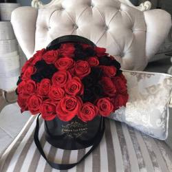 thereal-reginageorge:  Instagram: meghanxhemond
