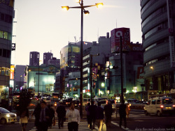 dora-the-real-explorer:  Shinjuku, Tokyo, Japan, 2013.