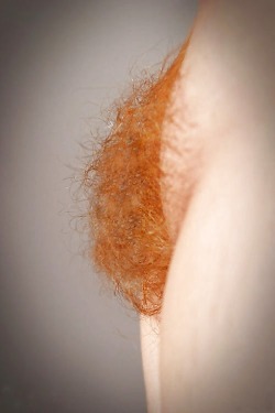 redhead-beauti3s:  Follow my blogshttp://dutch-fantasies.tumblr.com/