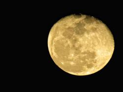 photos-of-space:Simple shot of the moon I got last night