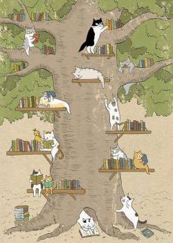 bibliolectors:  Bibliotecas gatunas: gatos súper lectores (ilustración