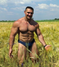 Hairy Bodybuilders