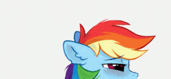 A  censoring right there… Dashie really likes that dick.