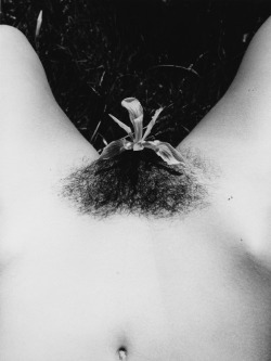 vivipiuomeno:  Walter Chappell ph. (U.S.A. 1925 - 2000)  Untitled