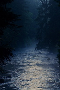 wolverxne:  Torrent - by: [Anna Night] 