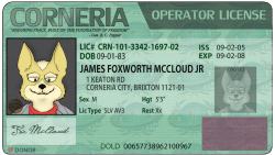 starfoxtheanimatedseries:  Made some operator’s licenses for