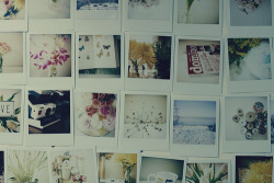 dazzlingdefects:  Heℓℓo. Hoℓα. Bonjour. ツ on We Heart