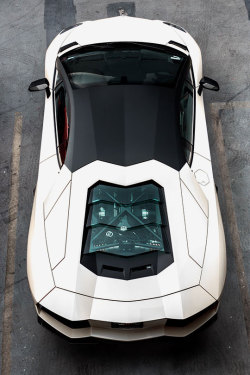 fullthrottleauto:  Lamborghini Aventador (by David Coyne Photography)