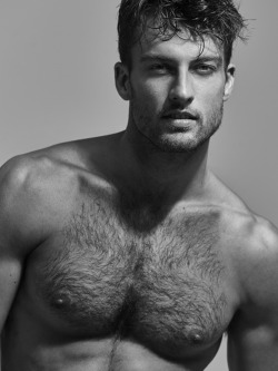 Handsome Muse