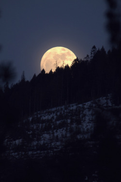 infinite-paradox:  April Moonrise (by Leesamaree) 